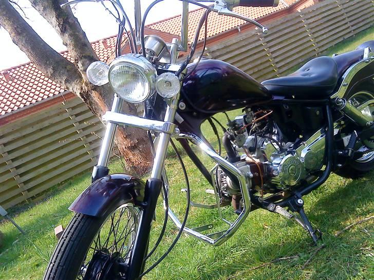Regal raptor: RARLEYen billede 4