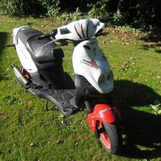 PGO Pmx Sport (No Fear)