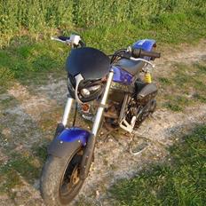 Suzuki street magic (Byttet)