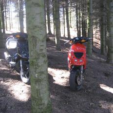 Piaggio NRG Mc3 Byttet Aerox