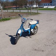 Suzuki Fz50
