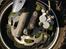 PGO Pmx naked Carbon -|Arne|-