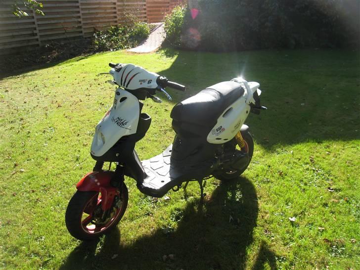 PGO Pmx Sport (No Fear) billede 1