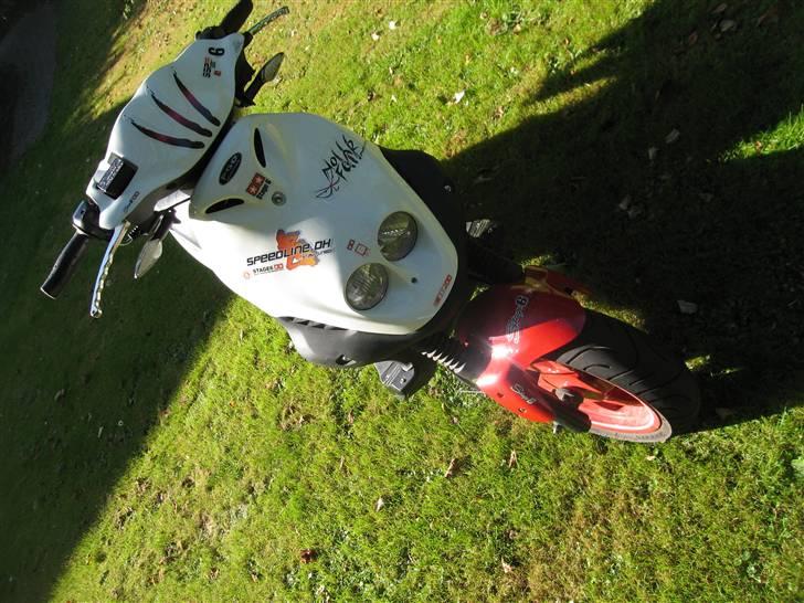 PGO Pmx Sport (No Fear) billede 4