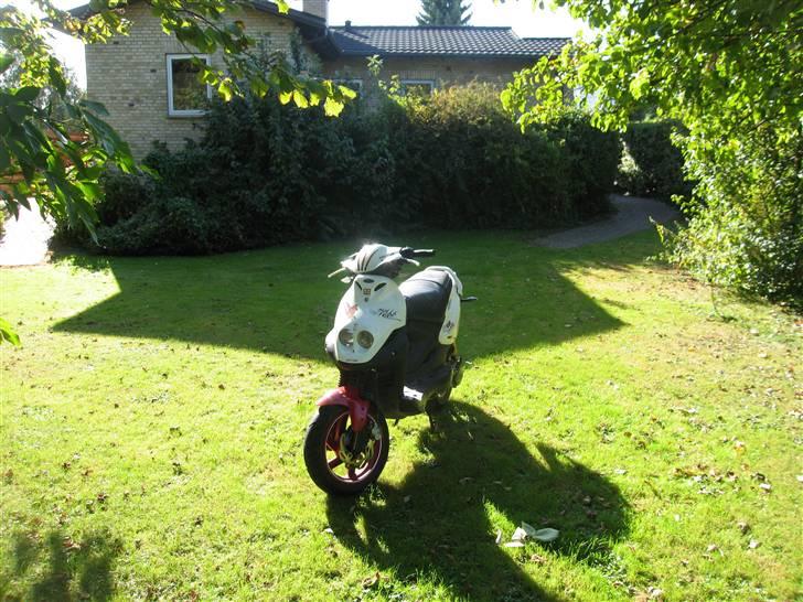 PGO Pmx Sport (No Fear) billede 5