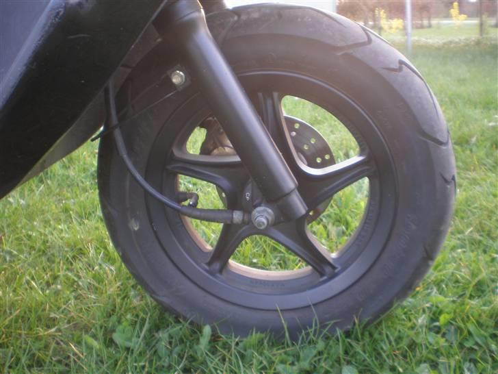 PGO pgo black magic Til salg billede 7