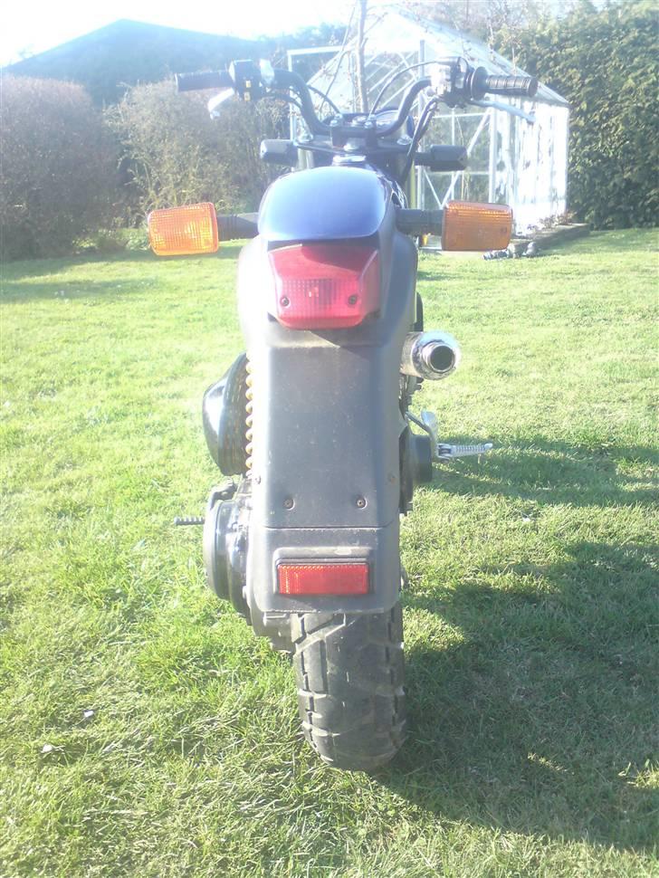 Suzuki Street Magic (SOLGT) billede 9