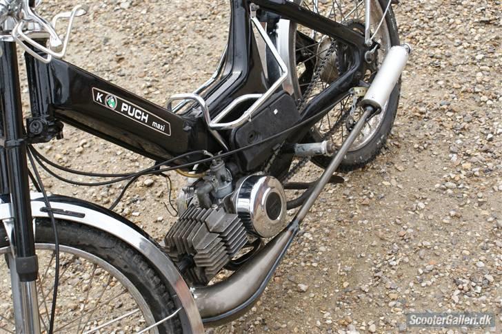 Puch maxi K (Solgt) :( - billederne er gammel og lånt fra den gammel ejer ny kommer snart! billede 5