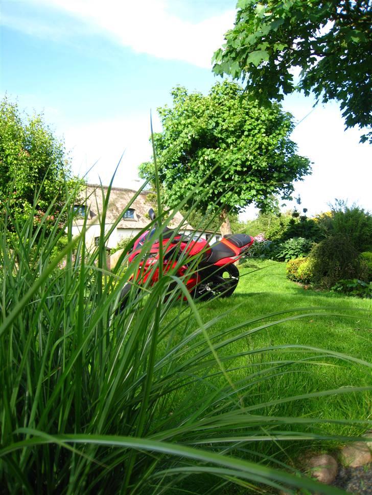 Rieju matrix rs2 tp 73,5 byttet billede 7