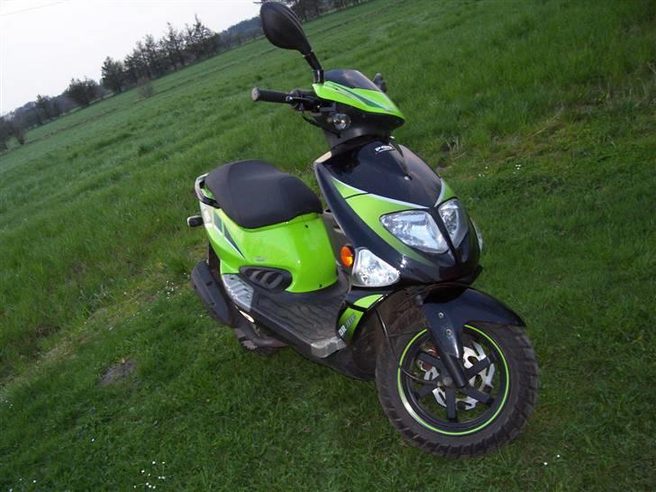 PGO dr.big. solgt billede 1