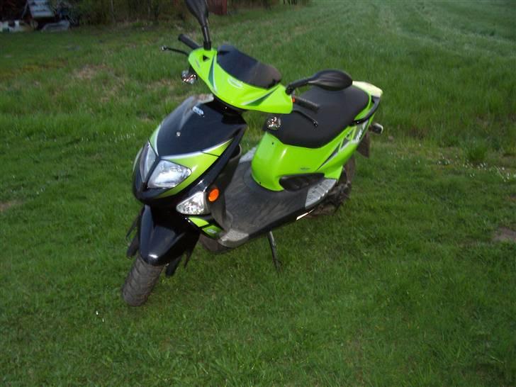 PGO dr.big. solgt billede 2