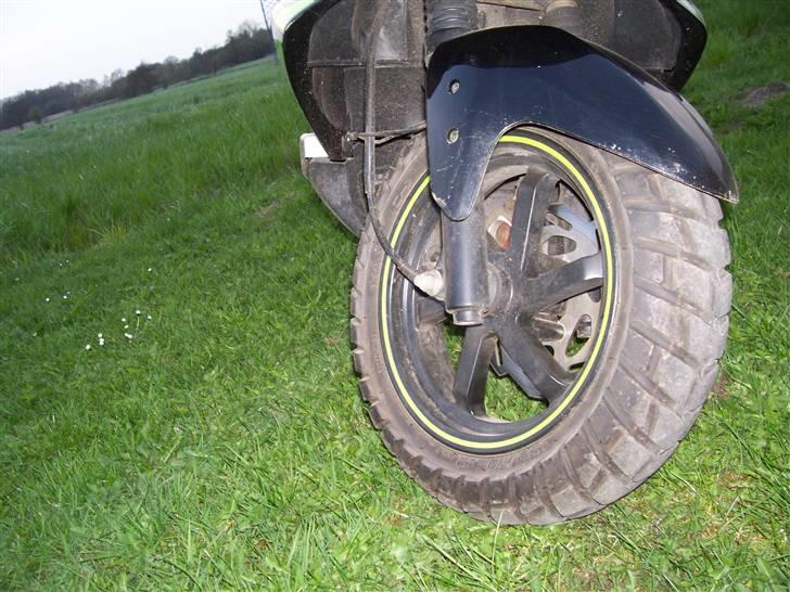 PGO dr.big. solgt billede 3