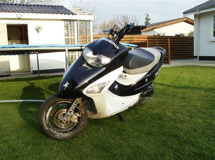 Honda Sfx ( før ) billede 1