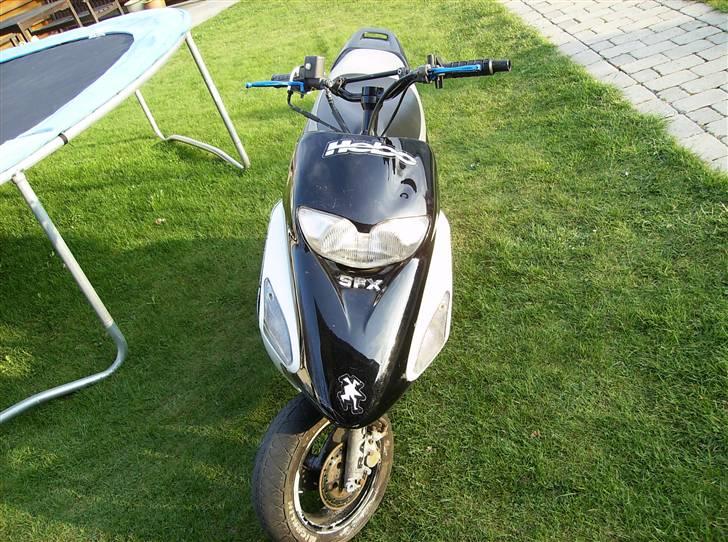 Honda Sfx ( før ) billede 2