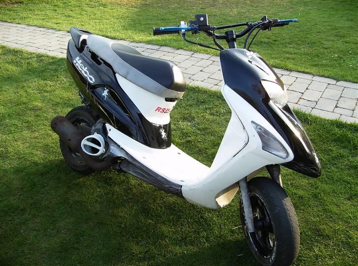 Honda Sfx ( før ) billede 3