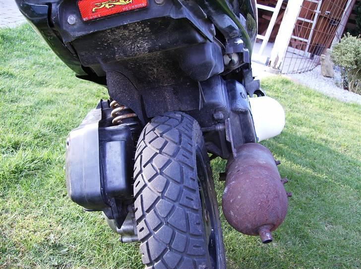 Honda Sfx ( før ) billede 6