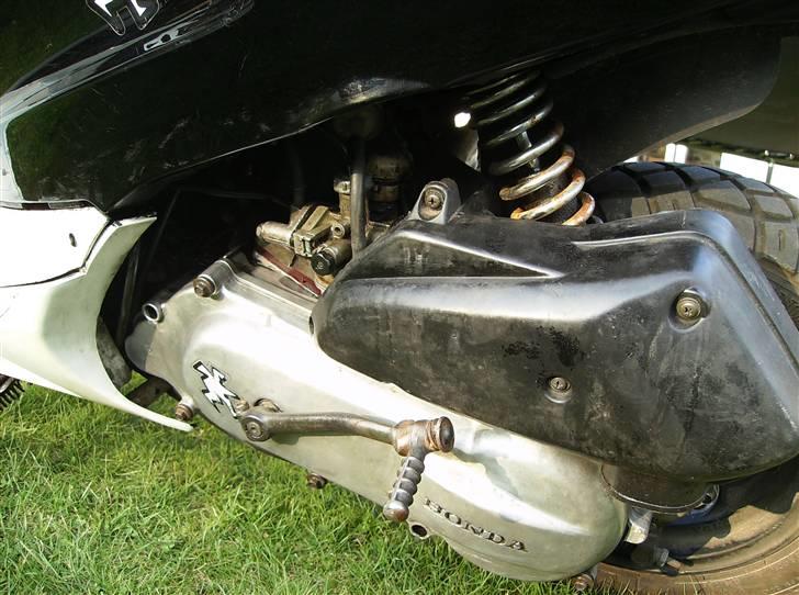 Honda Sfx ( før ) billede 7