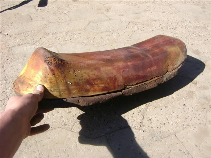 Puch Grandprix Flagskib- solgt billede 12