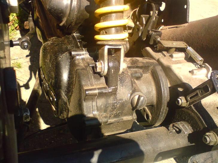 PGO ***HOT 50 SPC.**** solgt  billede 9