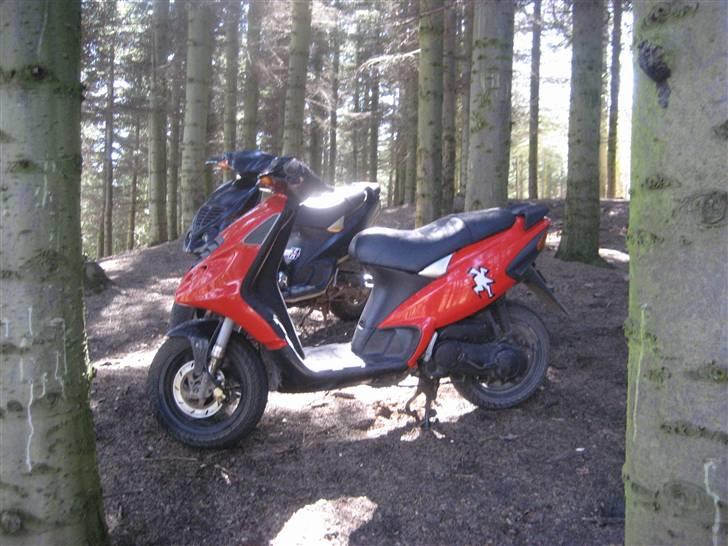 Piaggio NRG Mc3 Byttet Aerox billede 1