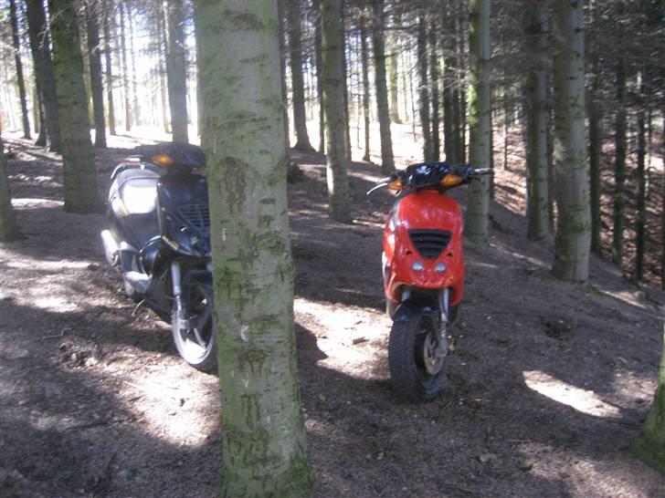 Piaggio NRG Mc3 Byttet Aerox billede 2