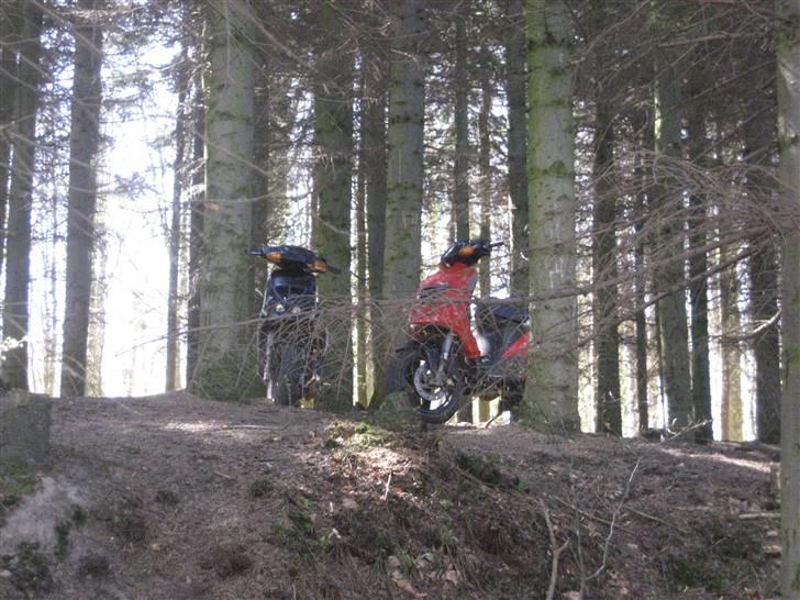 Piaggio NRG Mc3 Byttet Aerox billede 3