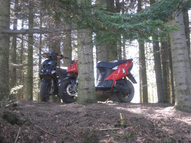 Piaggio NRG Mc3 Byttet Aerox billede 4