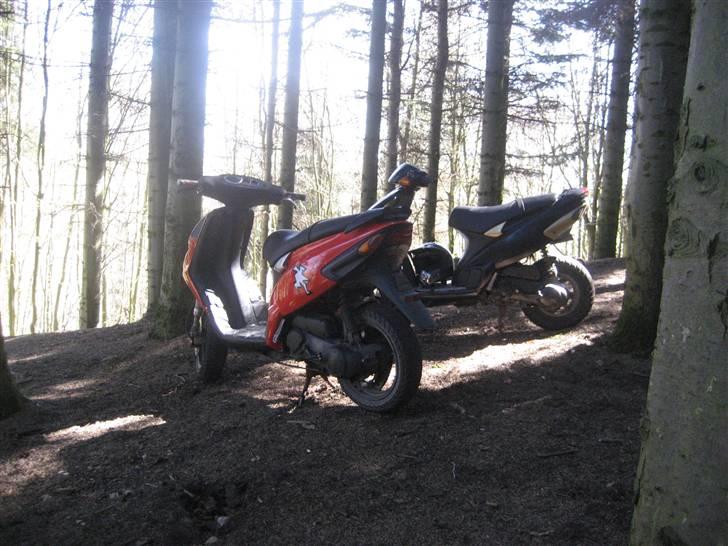 Piaggio NRG Mc3 Byttet Aerox billede 6