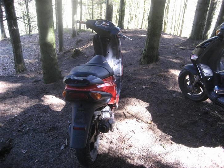 Piaggio NRG Mc3 Byttet Aerox billede 7