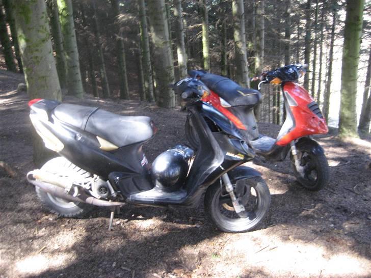 Piaggio NRG Mc3 Byttet Aerox billede 9