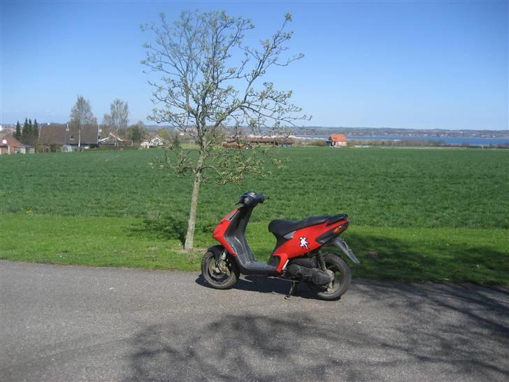 Piaggio NRG Mc3 Byttet Aerox billede 14
