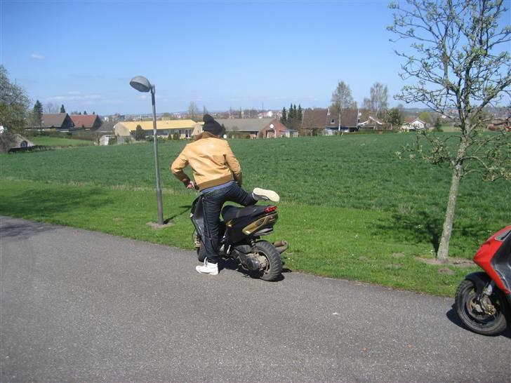 Piaggio NRG Mc3 Byttet Aerox billede 15