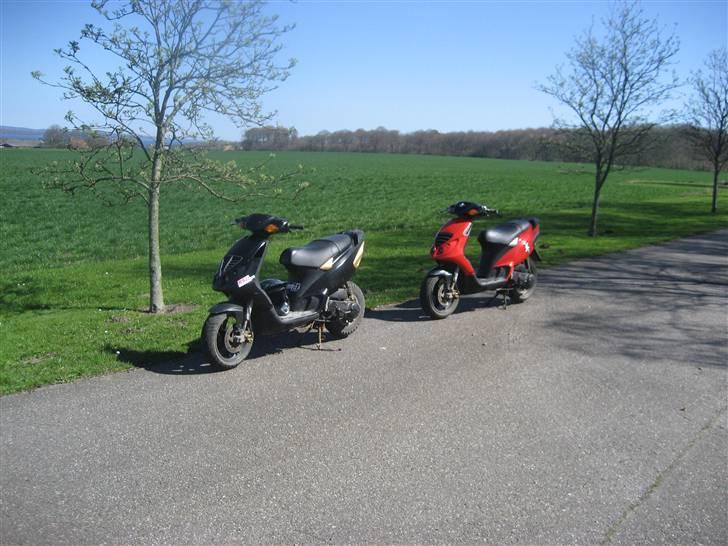 Piaggio NRG Mc3 Byttet Aerox billede 17