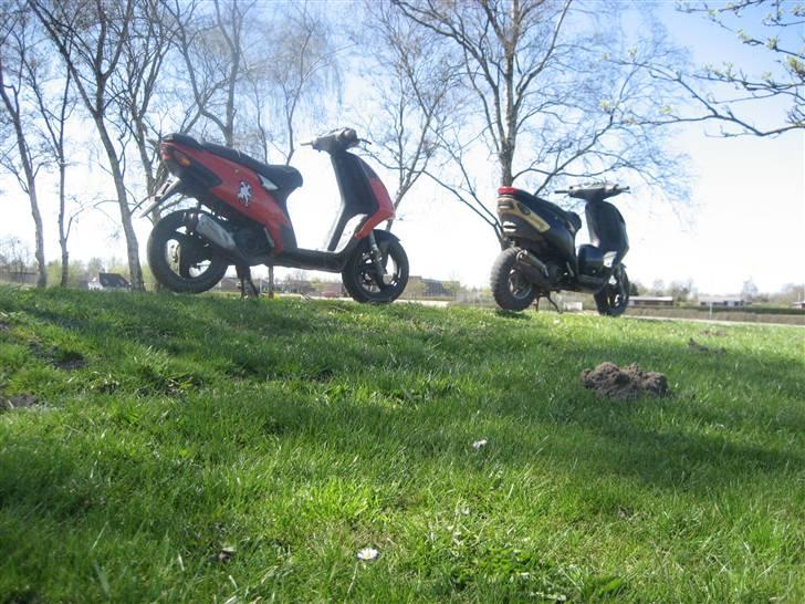 Piaggio NRG Mc3 Byttet Aerox billede 19