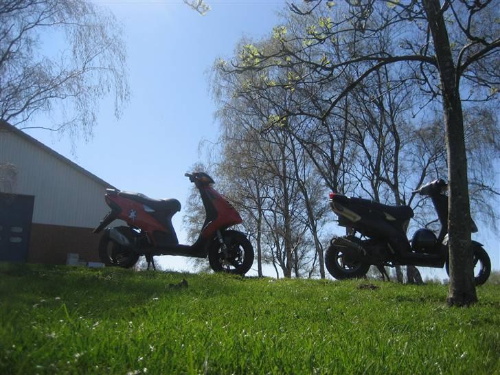 Piaggio NRG Mc3 Byttet Aerox billede 20