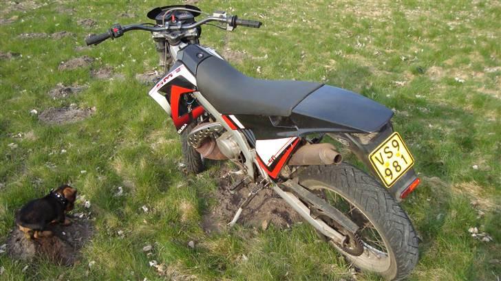 Gilera SMT billede 1