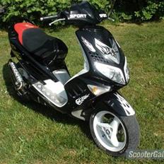 Peugeot Speedfight 2 byttet RMX