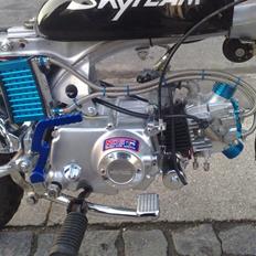 Skyteam monkey  TIL SALG 