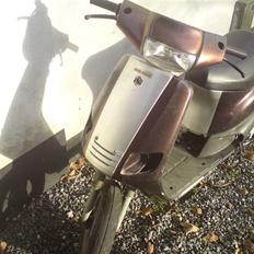 Piaggio zip 45