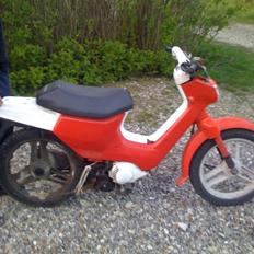 Honda Wallaroo  (solgt)