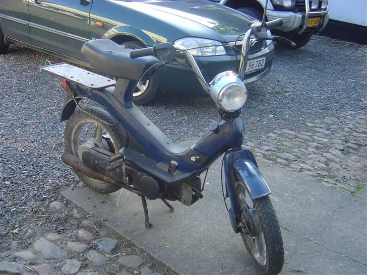 Piaggio grillo  - her er et billede af skønheden billede 1