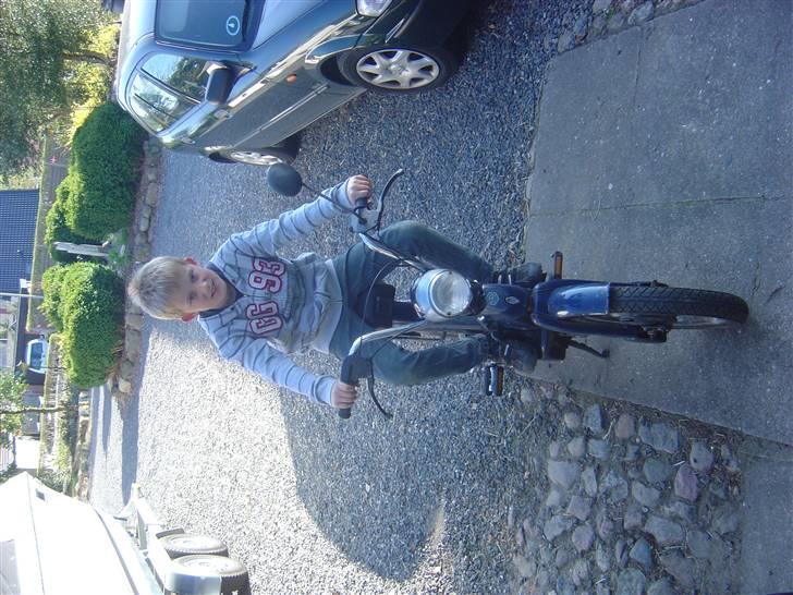 Piaggio grillo  billede 5