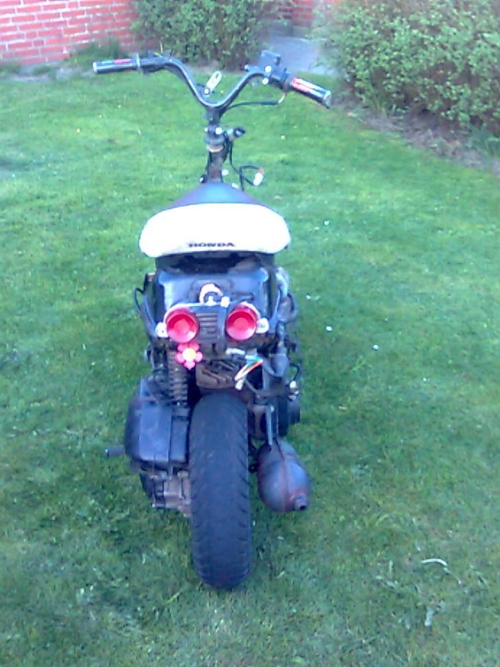 Honda sfx  billede 14