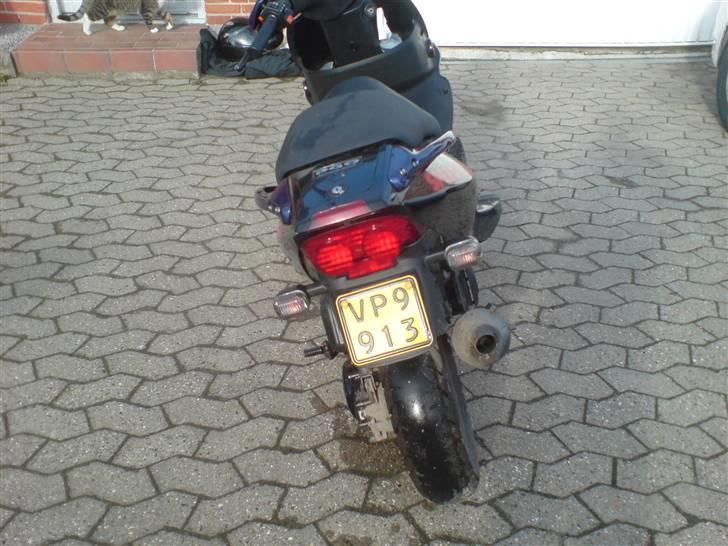 PGO DR. BIG (Efter Autolak) - Nyvasket røv, såbliver det ikk bedre ;) billede 12