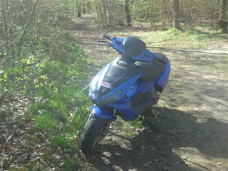 Benelli 491 st solgt  - sådan er den nu  billede 11