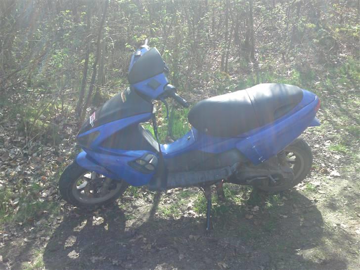 Benelli 491 st solgt  - sådan er den nu  billede 12