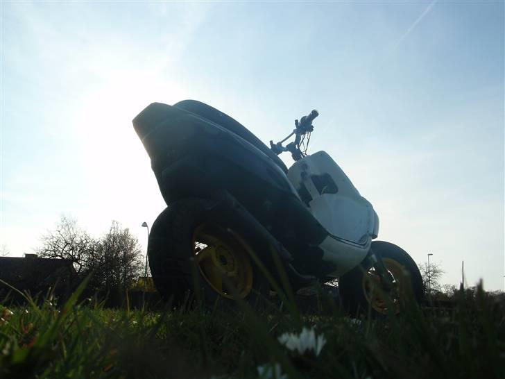 Gilera stalker  billede 9