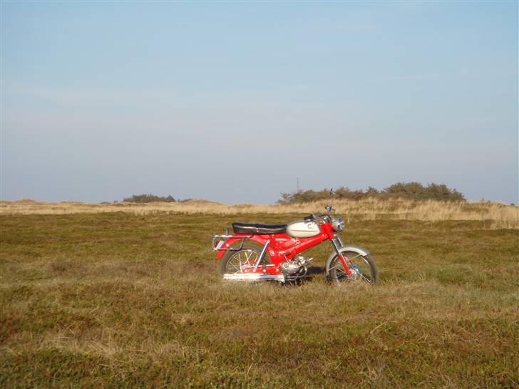 Puch VZ 50 billede 10