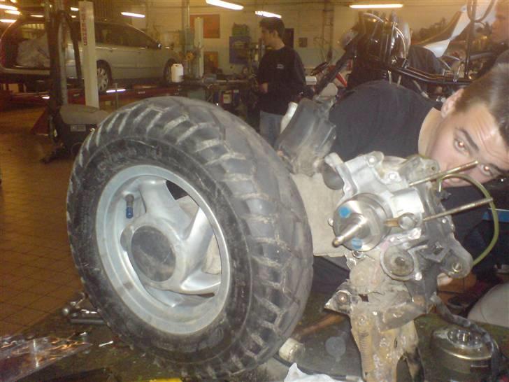 Piaggio typhoon AC   >>>solgt<<< - samler den :) billede 11