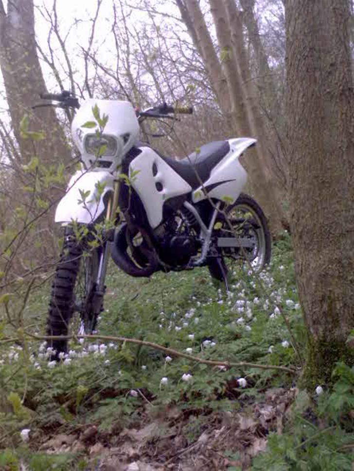 Suzuki Rmx solgt billede 3